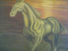 Horse Image